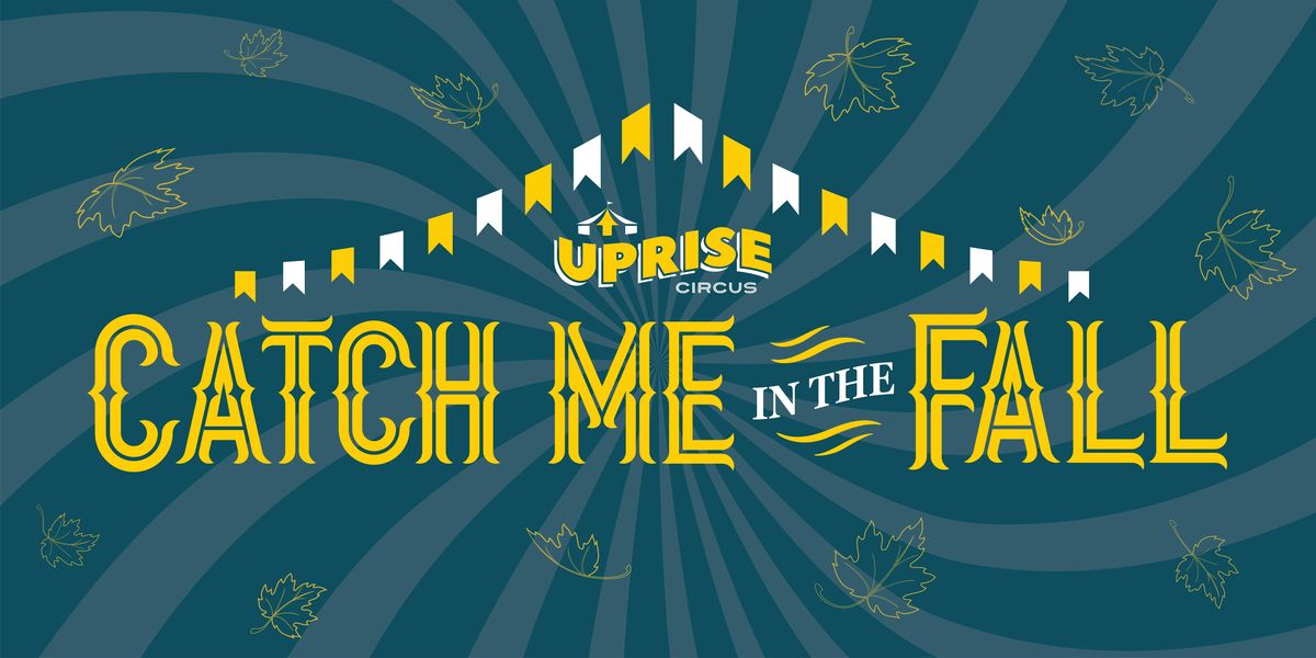 Catch Me in the Fall