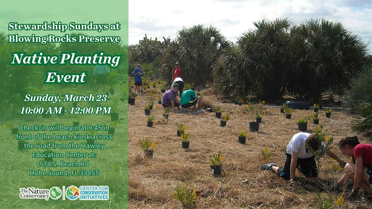 Stewardship Sunday - Native Planting Event