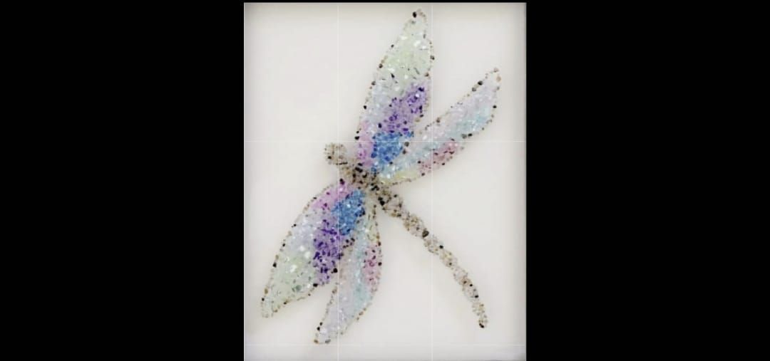 Dragonfly or beach seascape on a frame with resin
