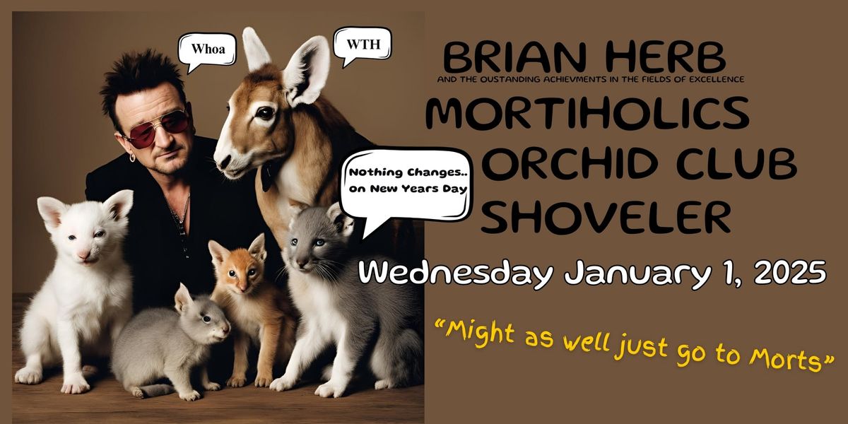 New Year's Day-Night 2025 : Brian Herb | Mortiholics | Orchid Club |  Shoveler