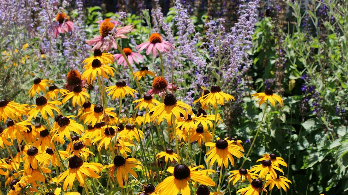 Botanical Latin for Gardeners