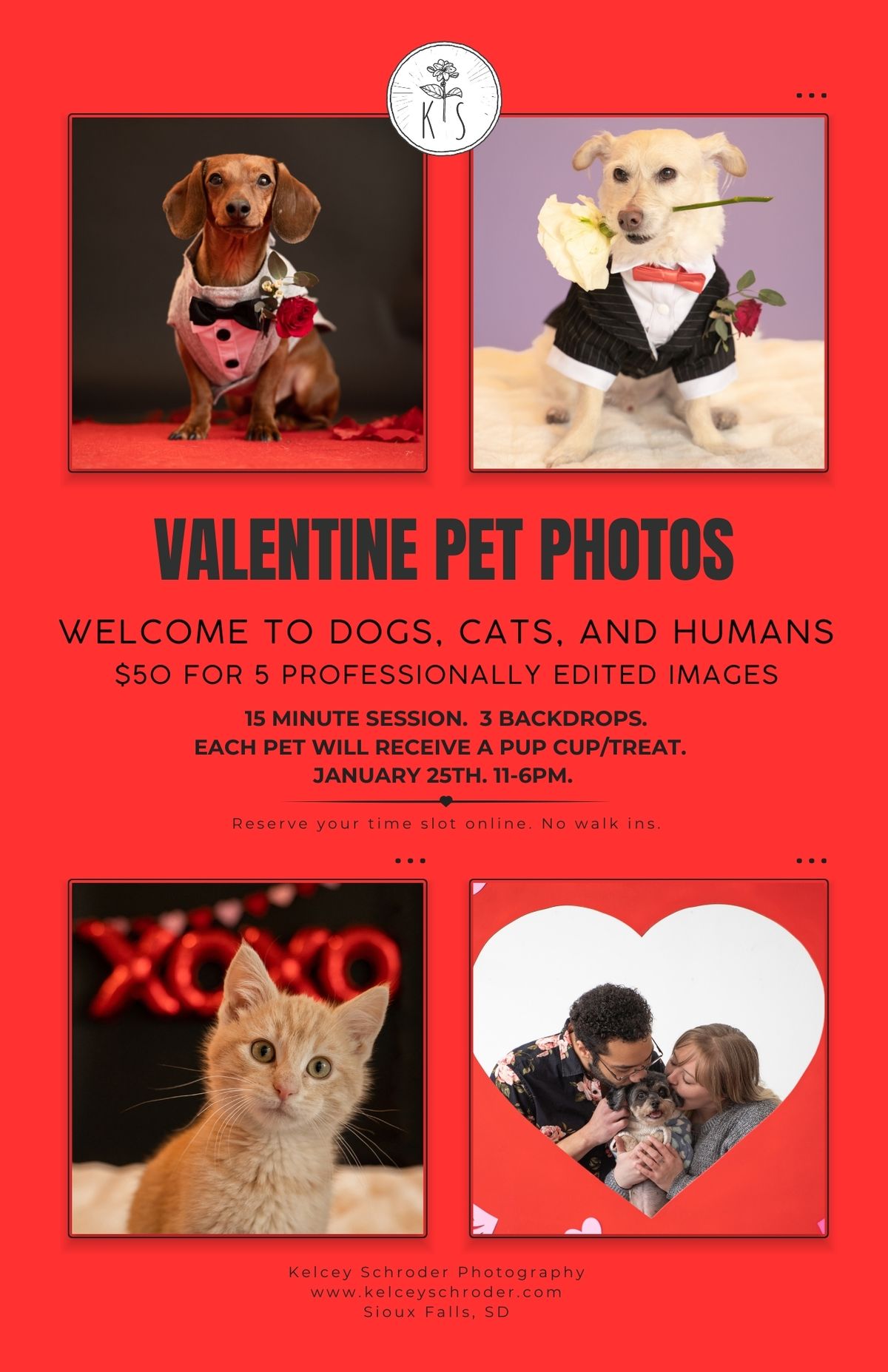 Valentine Pet Photos