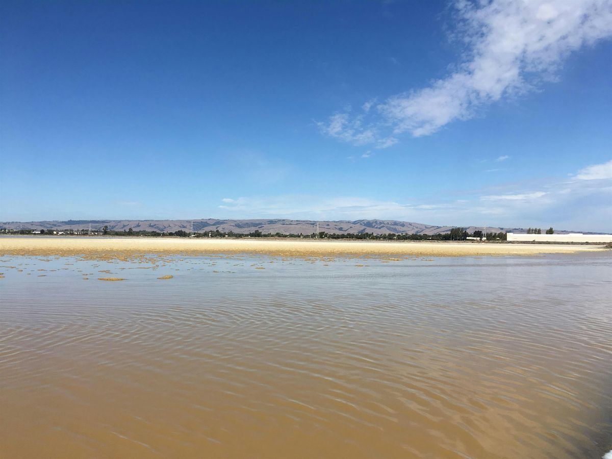 Geology Rocks the Hills!