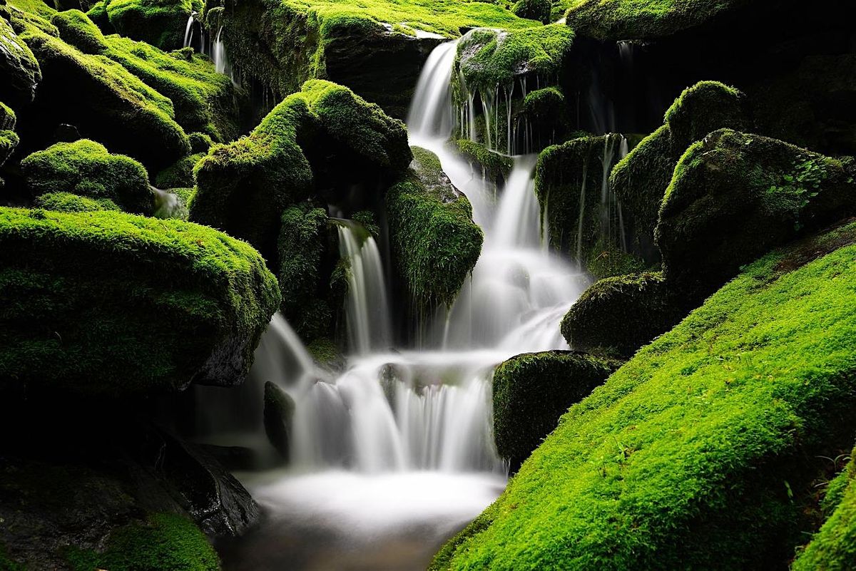 Writing the Self: Mini-Series on Grounding, Growth, and Community