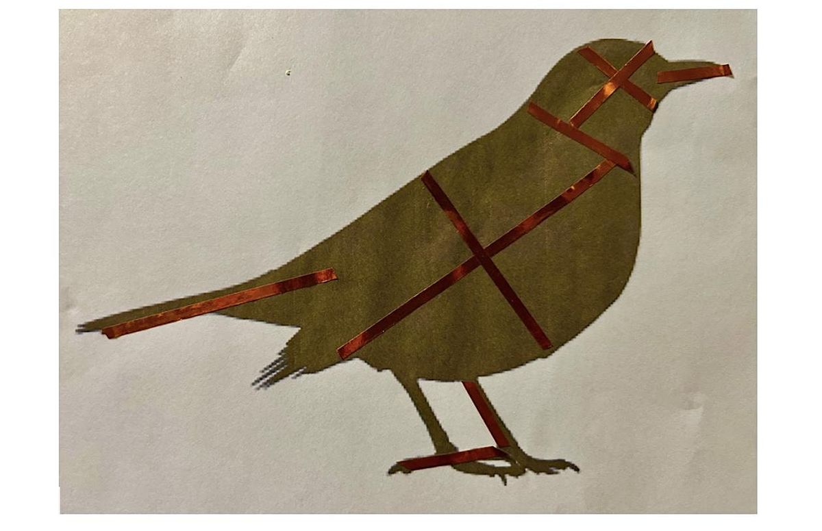 How to Draw a Bird (Fun and Easy) For Adults and children ages 10 and up.