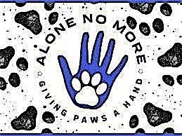 Sacred Paws: Paint and Cacao Holiday Fundraiser
