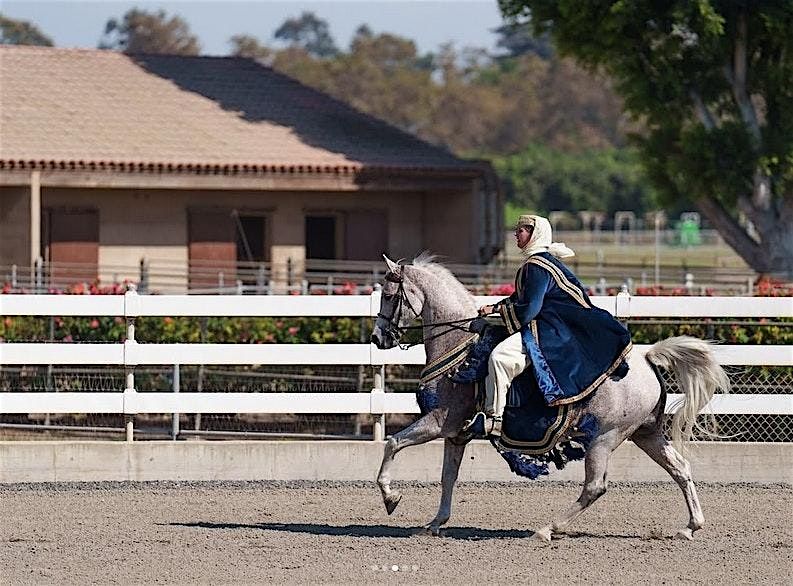 February 2025 Sunday Horse Show