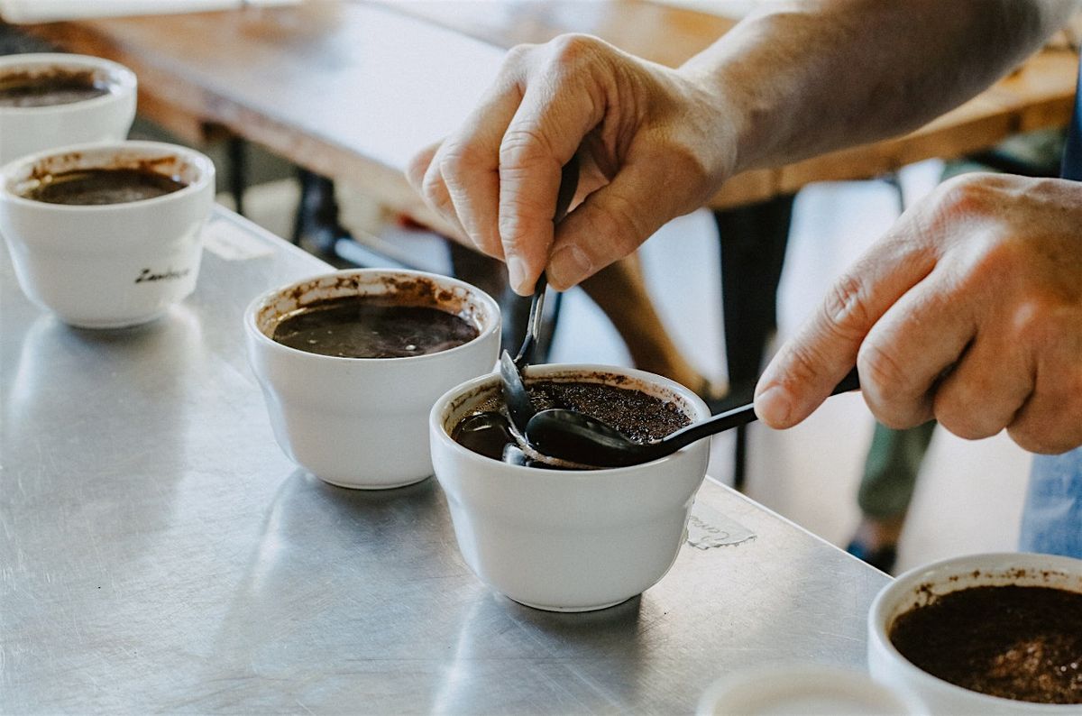 White Rhino: Coffee Cupping Class