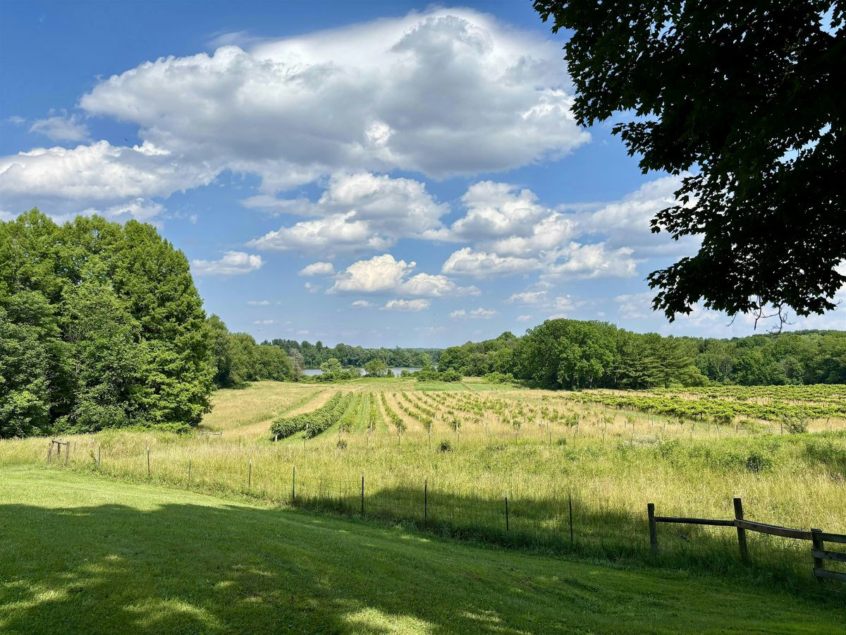 Harvest Harmony\u2022 Sound Bath @ The Winery at Wolf Creek