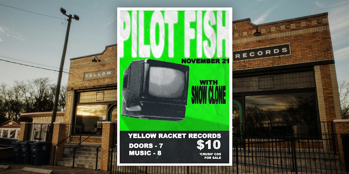 Pilot Fish (with Snow  Clone) - Live at Yellow Racket!