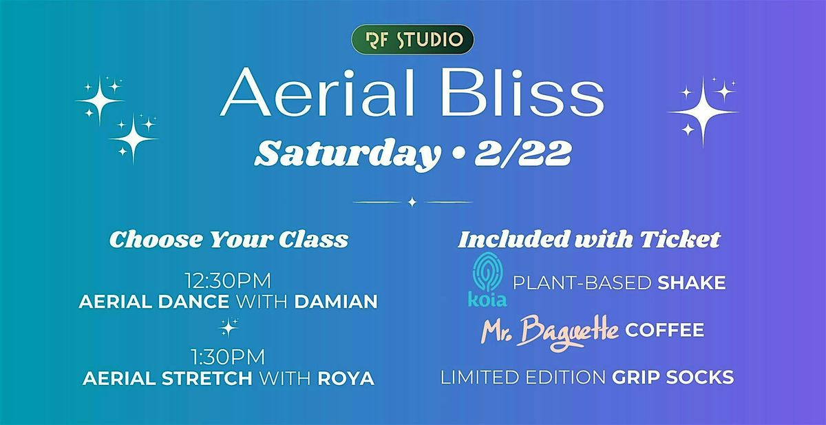 222 Aerial Bliss: A Special Galentine's Event