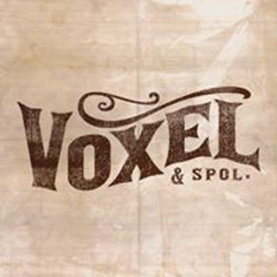 Voxel (V\u00e1clav Lebeda)