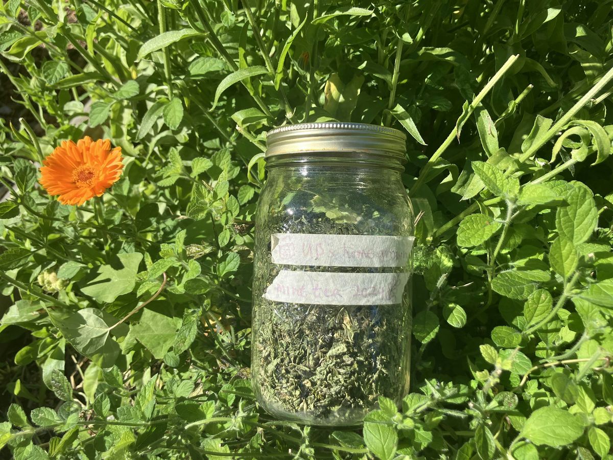 Garden Remedies Series:  Teas and Decoctions