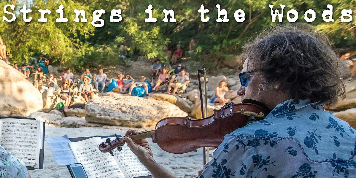 New Year's Day Strings in the Woods SA w\/Award Winning Violinist 1126