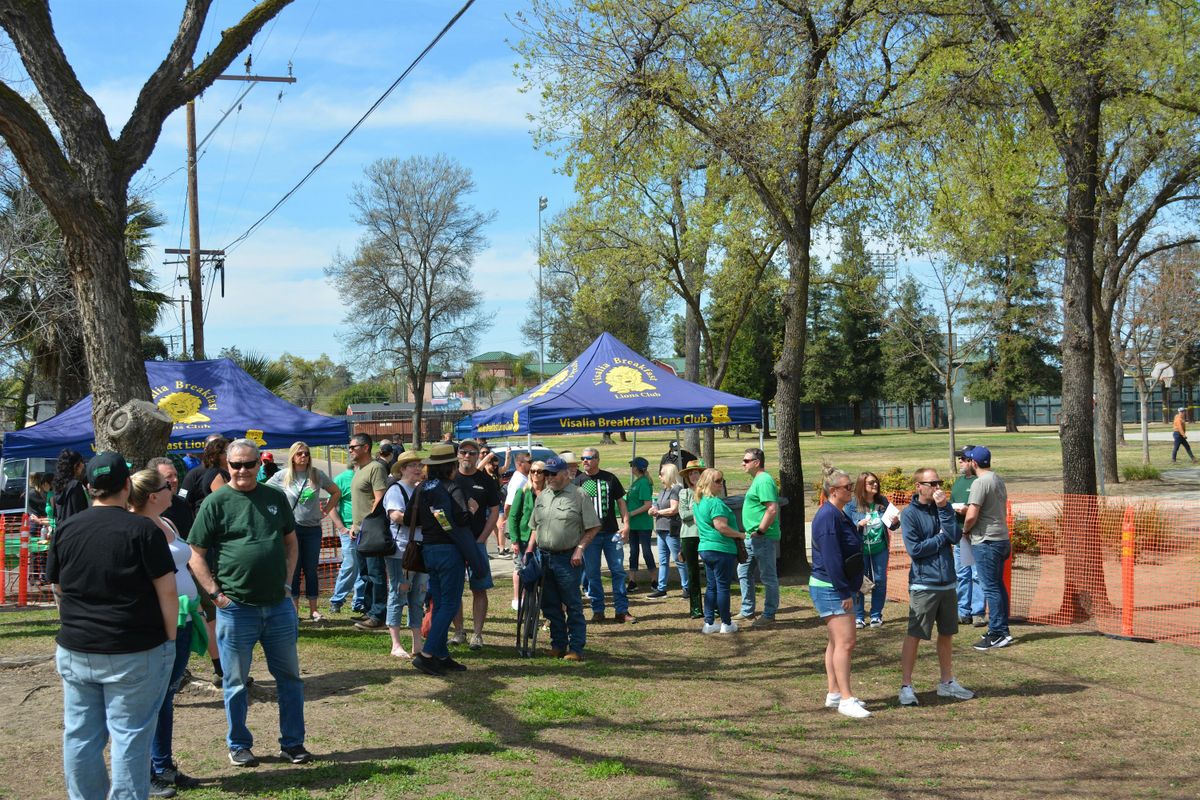 Irish Fest in the Park 2025