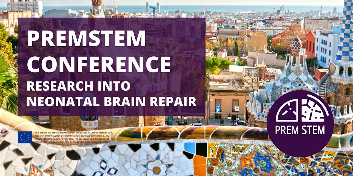 PREMSTEM Conference: Research into neonatal brain repair