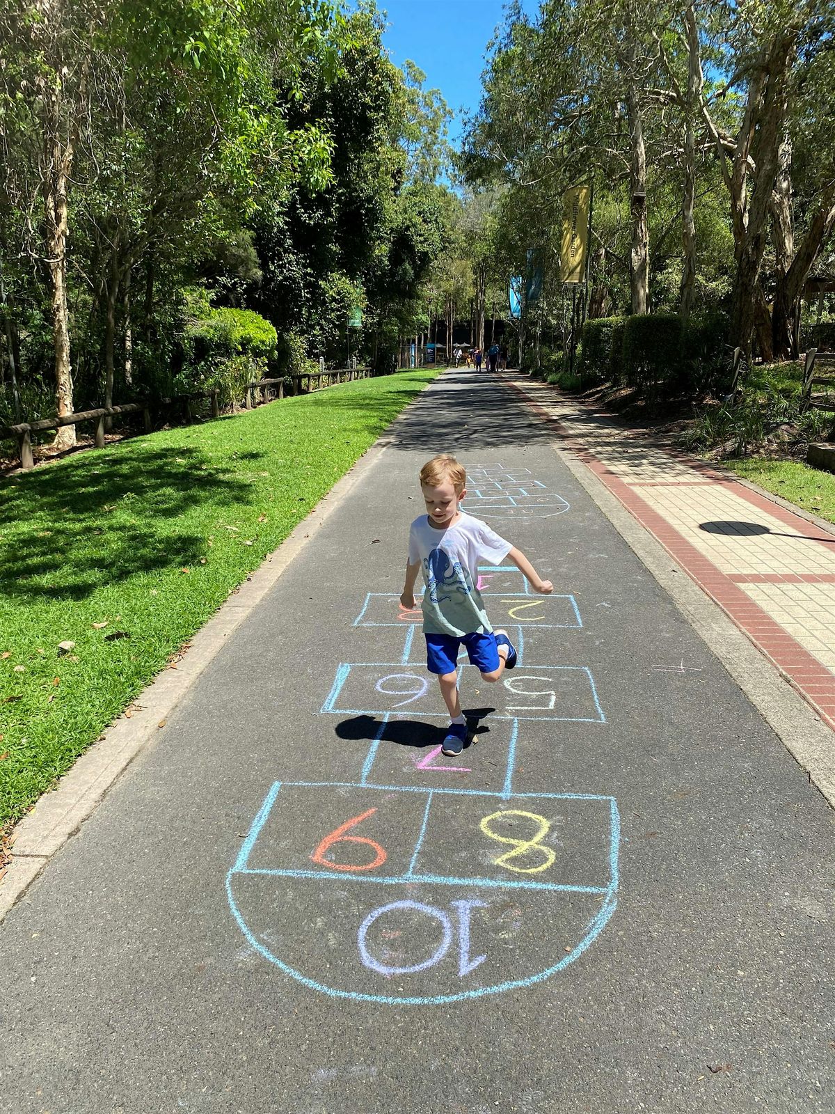 Come play in our backyard!