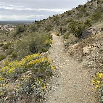 BWA ARIZONA: Bursera Trailhead Hike