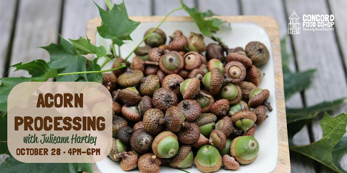 Acorn Processing Workshop
