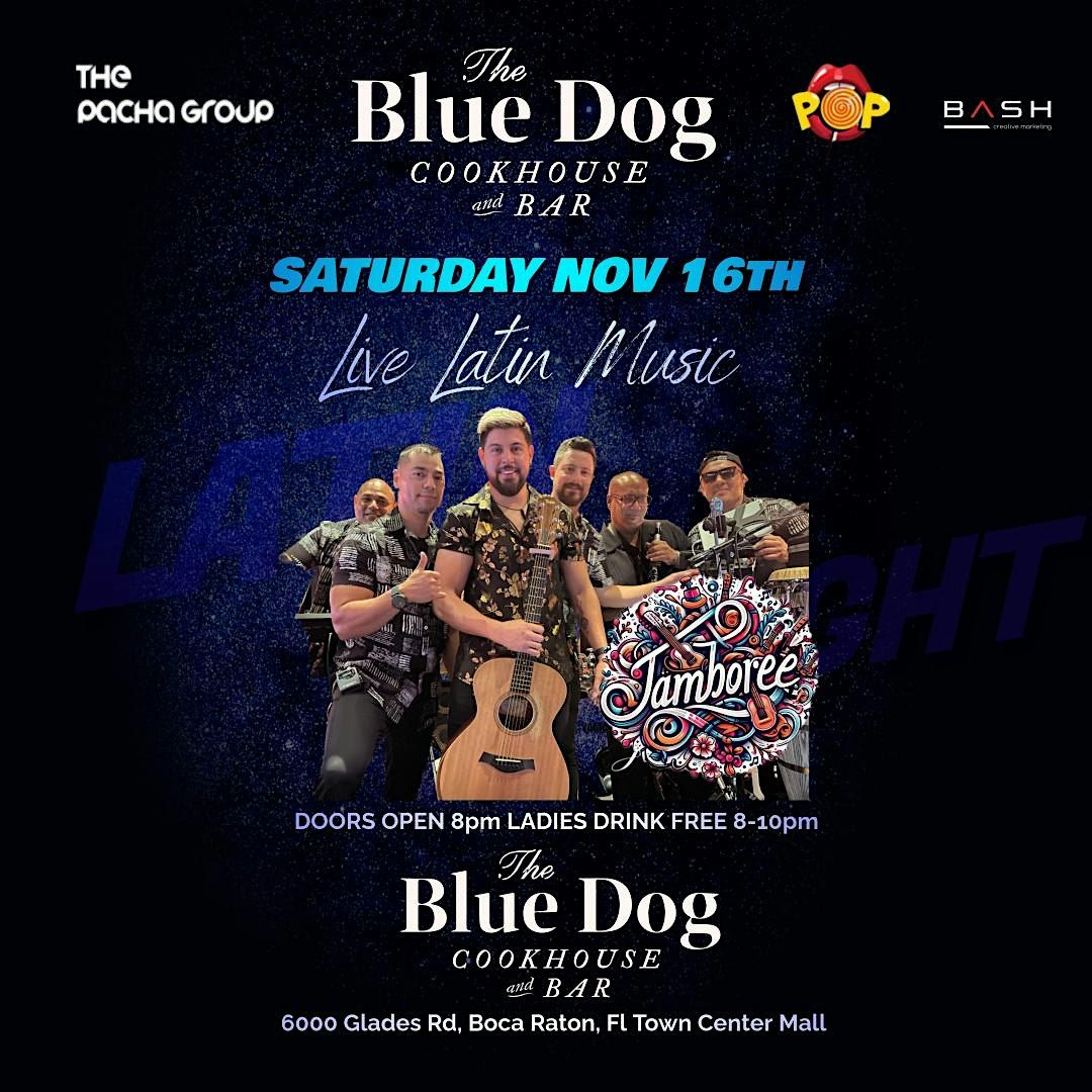 International Saturday Live Latin Music by JAMBOREE @ THE BLUE DOG BOCA