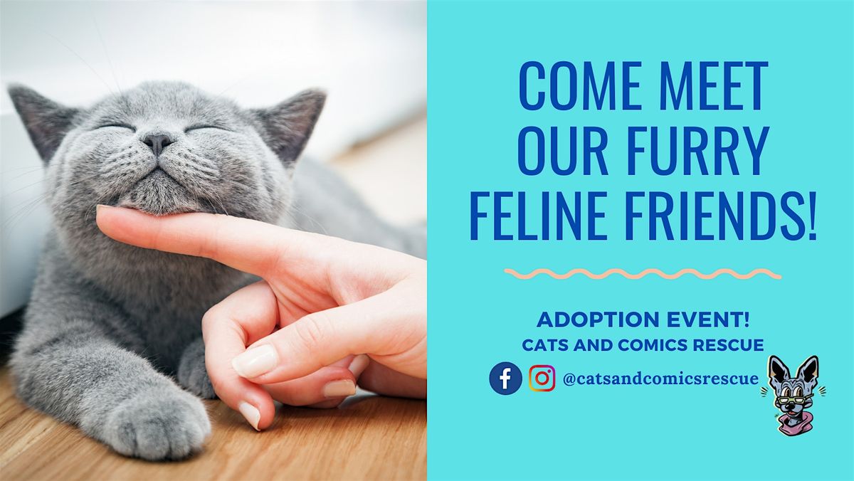 Cat Adoption Event @ Fika Fika Coffee\/H-Mart shopping center