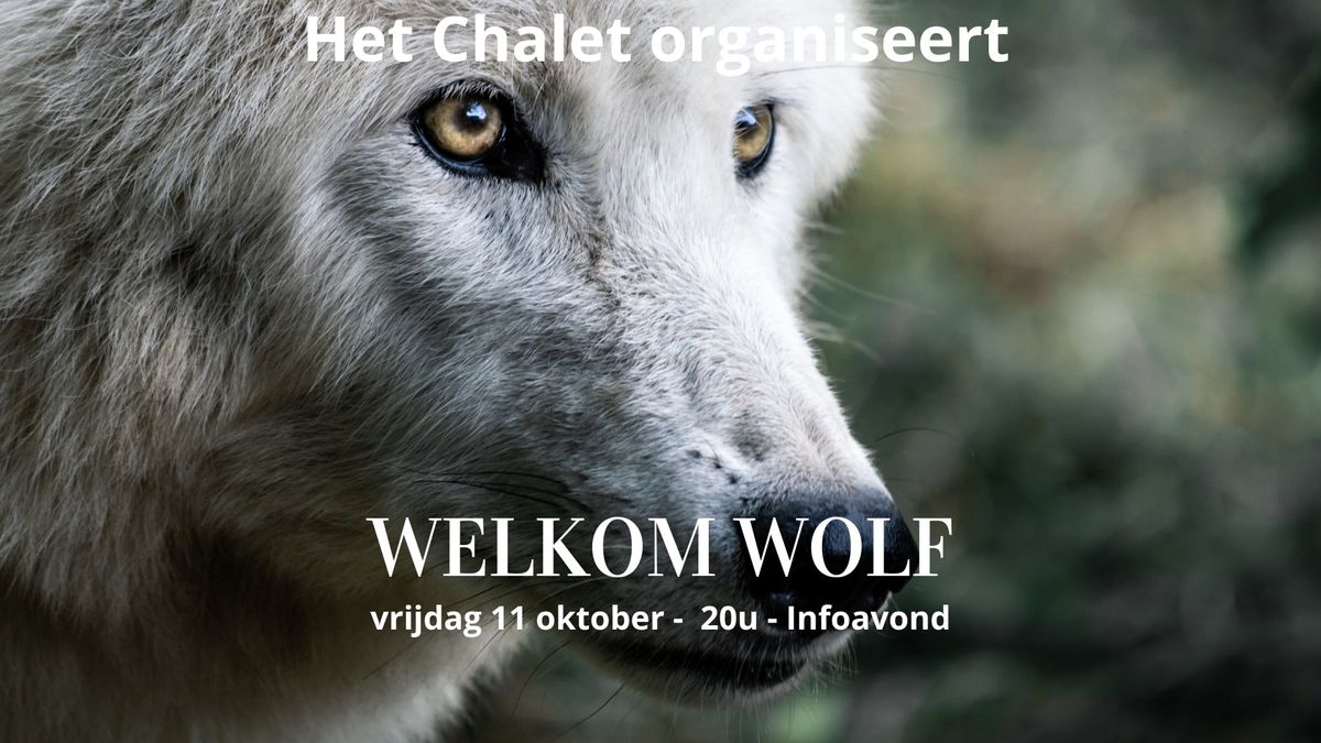 Infoavond: Welkom Wolf