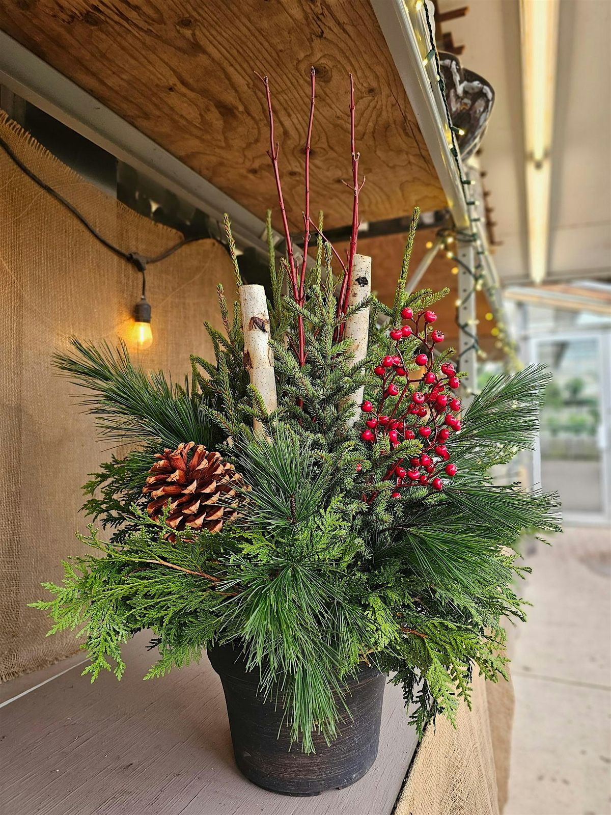 Spruce Tip Winter Porch Pot Workshop