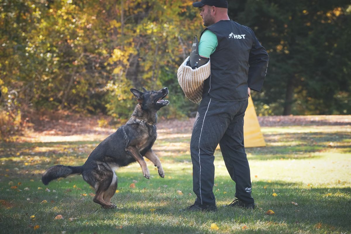 Catamount WDC Fall \u201824 American Schutzhund Trial