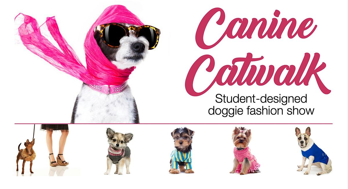 Canine Catwalk