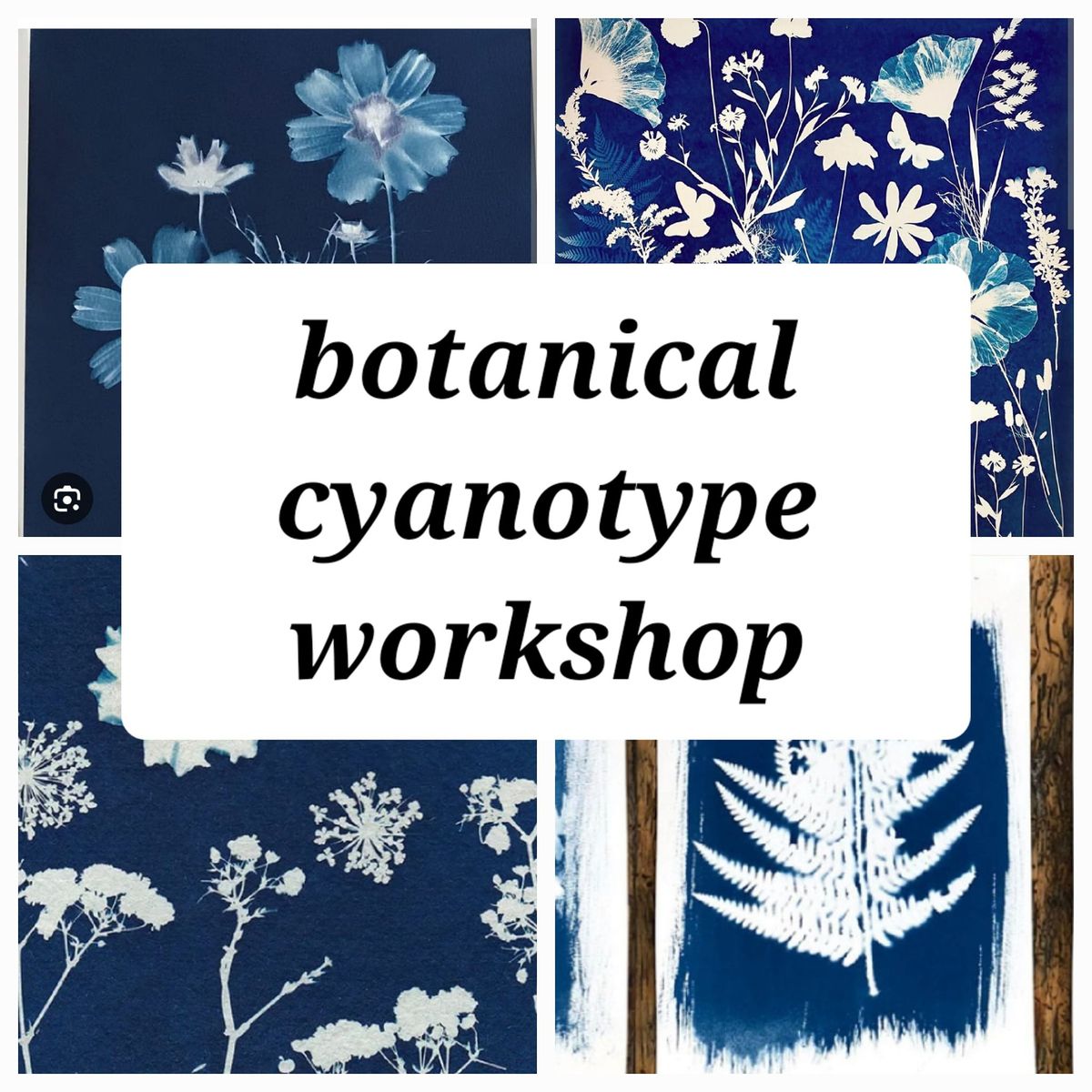 cyanotype printing 