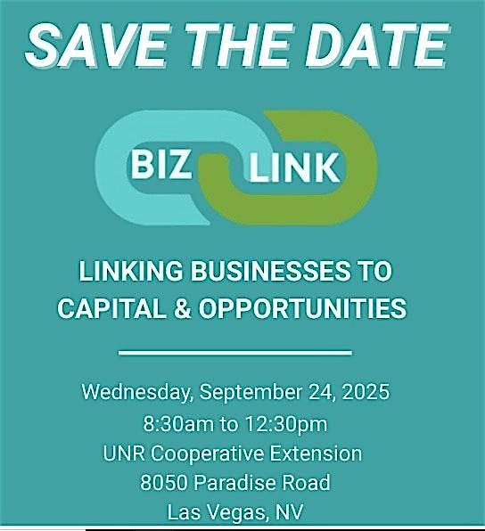 BIZLINK:  Linking Capital and Opportunities to Small Businesses