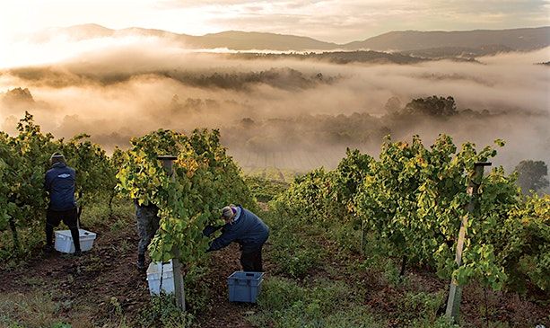 VINcabulary : Iberian Road Trip