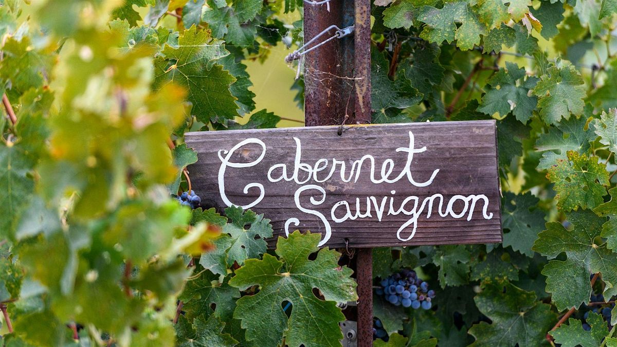 Premium Red Wine Series: Cabernet Sauvignon