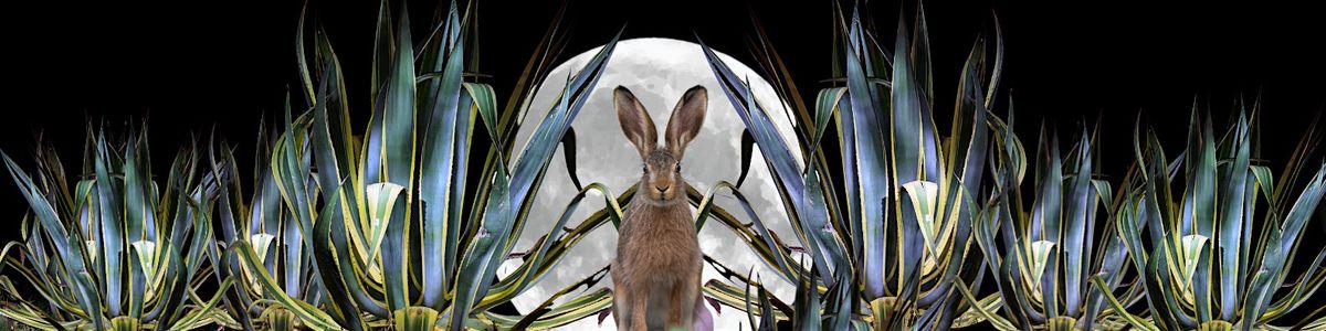 Under the Agave Moon: Tasting + Cocktail Build