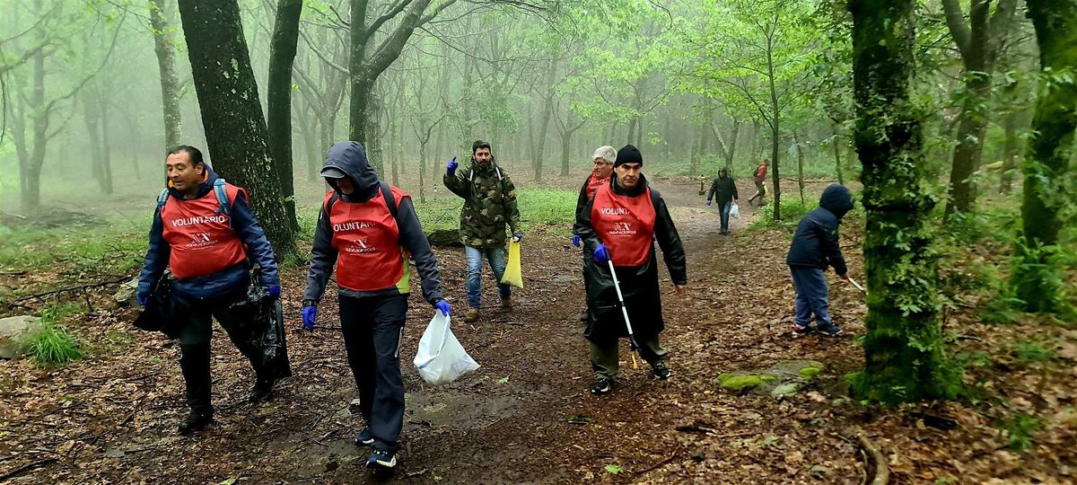 Voluntariado: LIMPIAR PASEANDO EN EL PARQUE FORESTAL DE A GUIEIRA(COMESA\u00d1A)