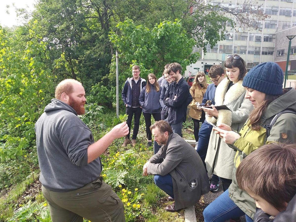 Spring Foraging with Dave Winnard  - Bioblitz event