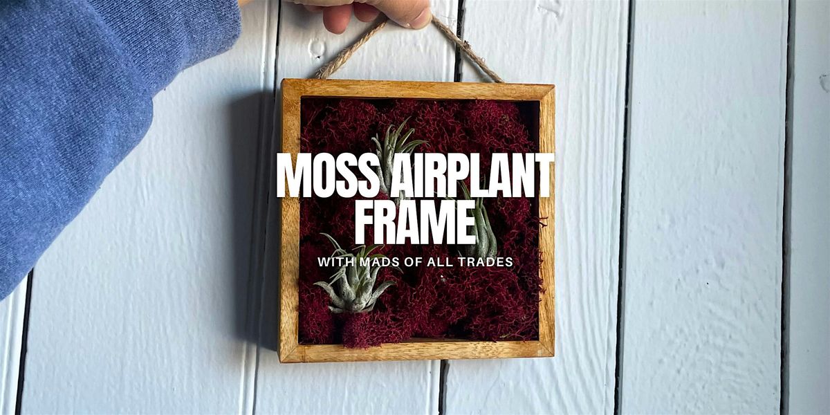 Moss Airplant Frame