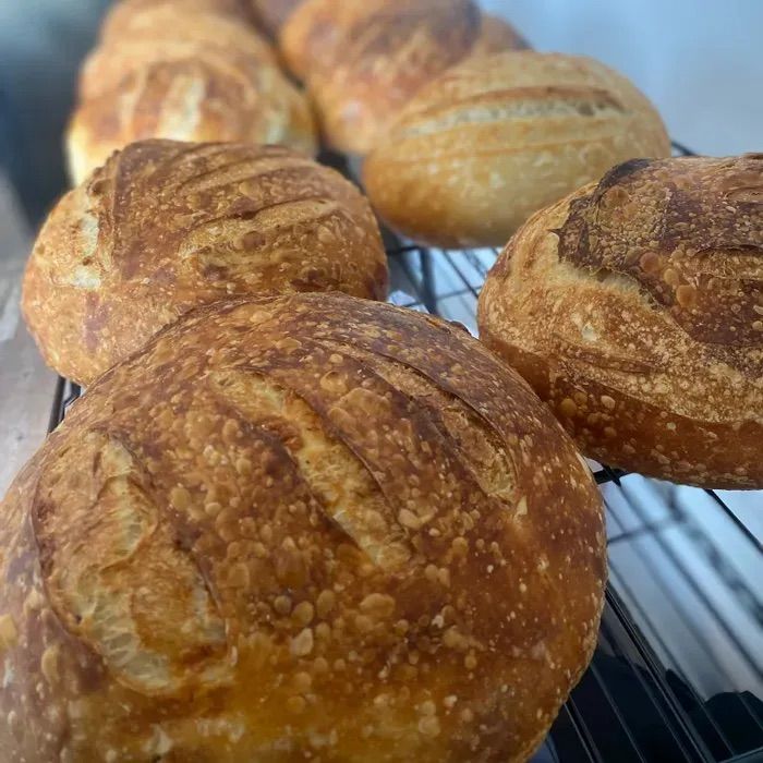 Sourdough for Beginners Workshop 