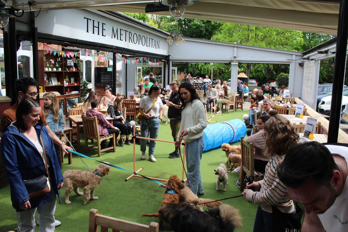 Didsbury Doggy Social