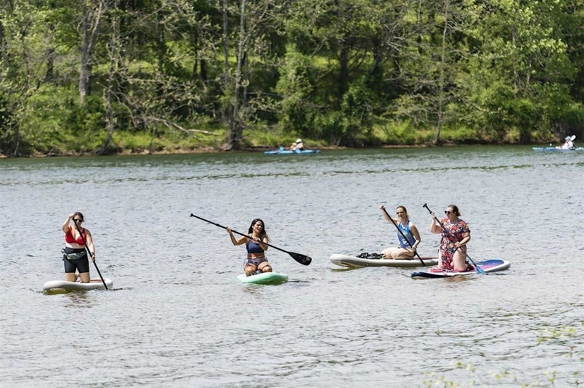 The Board Room- Paddle + Business Networking