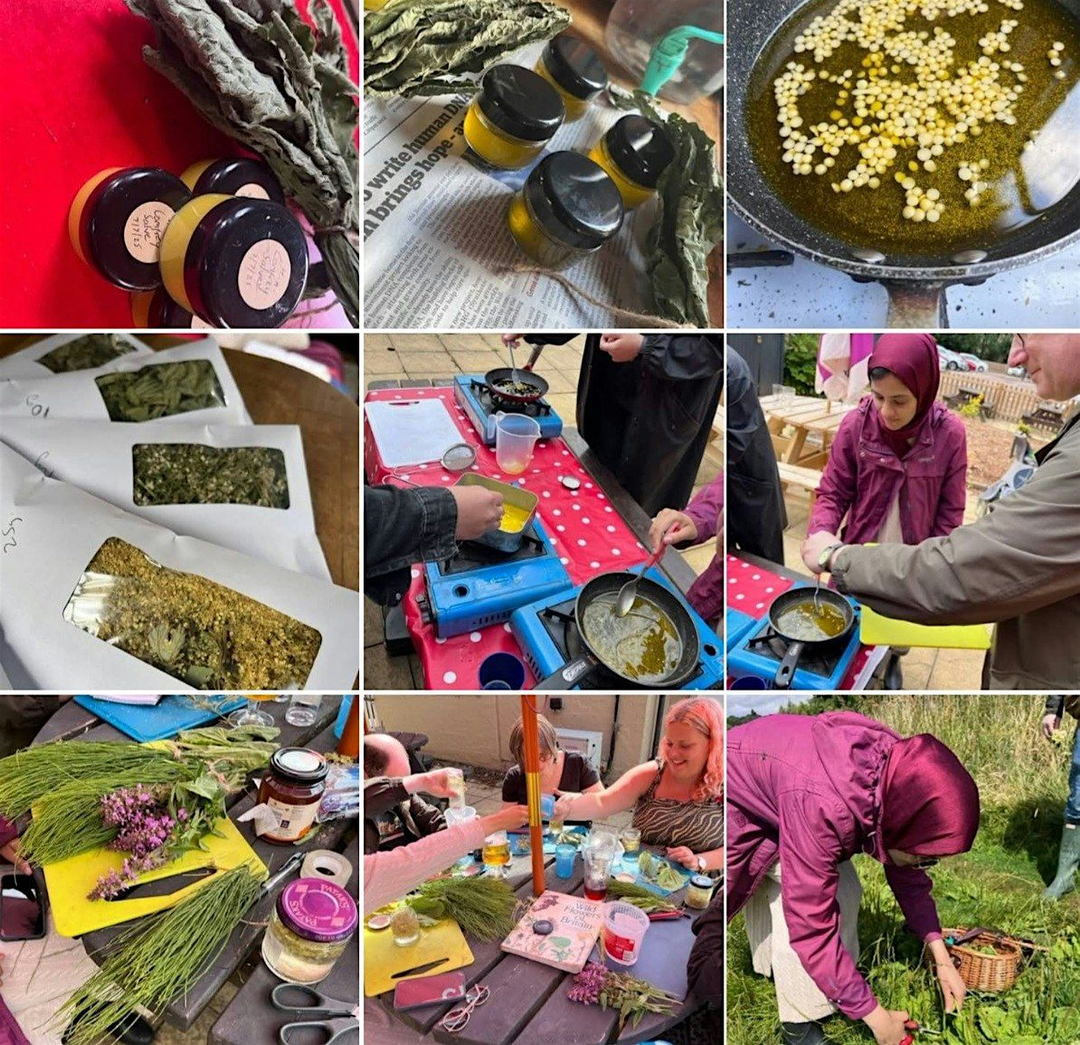 Herbal Medicine Course (Adults Only)