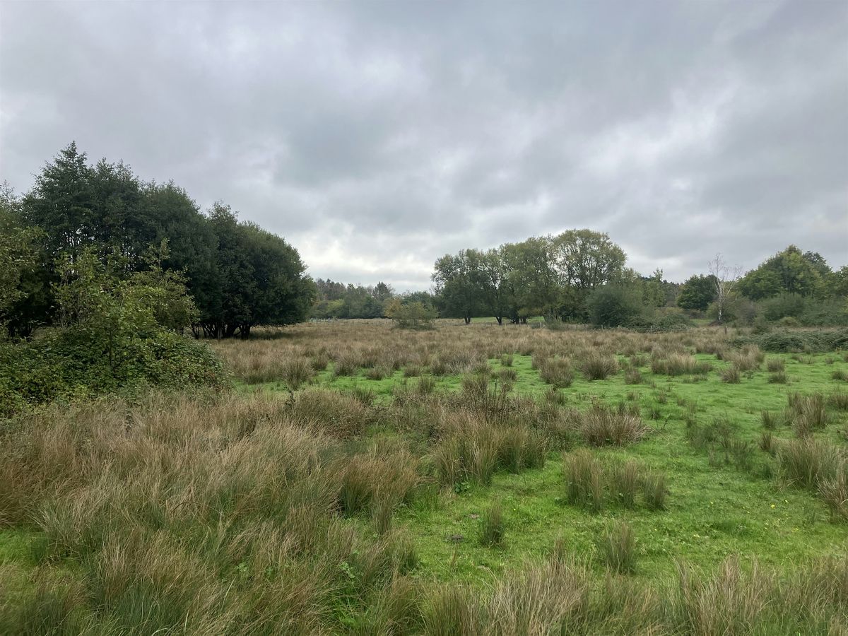 Lakeside Volunteers 5th November