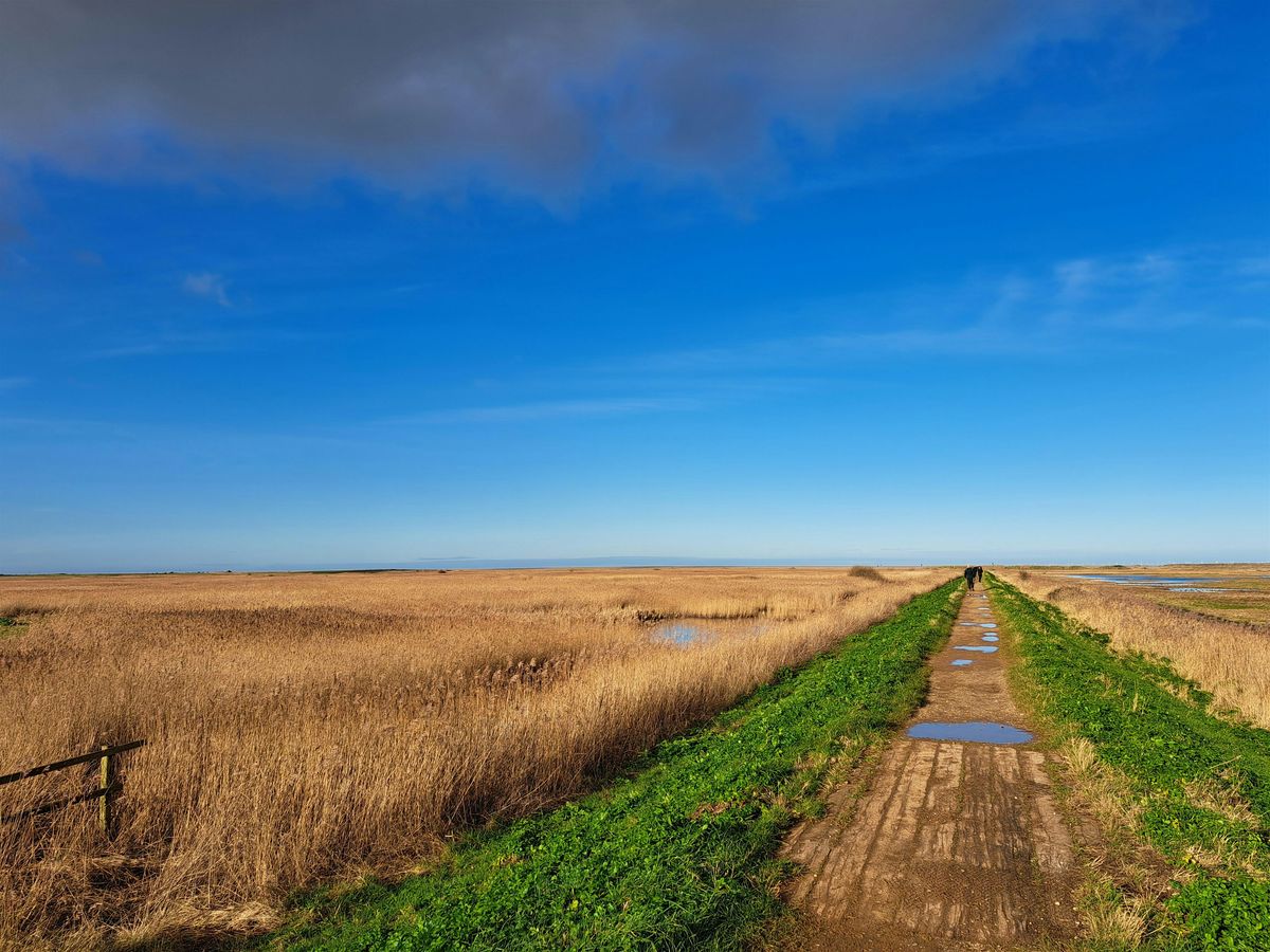 Mindfulness walk (1 December)