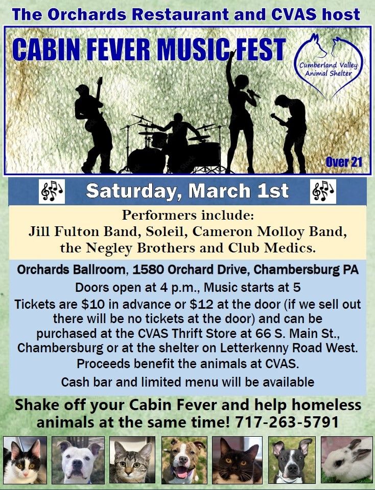 Cabin Fever Music Fest