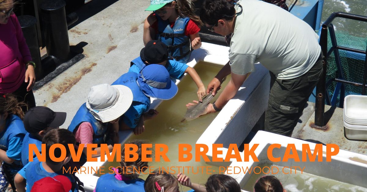 November Break Marine Science Camp