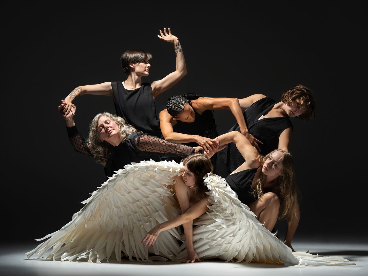 push\/FOLD dance company