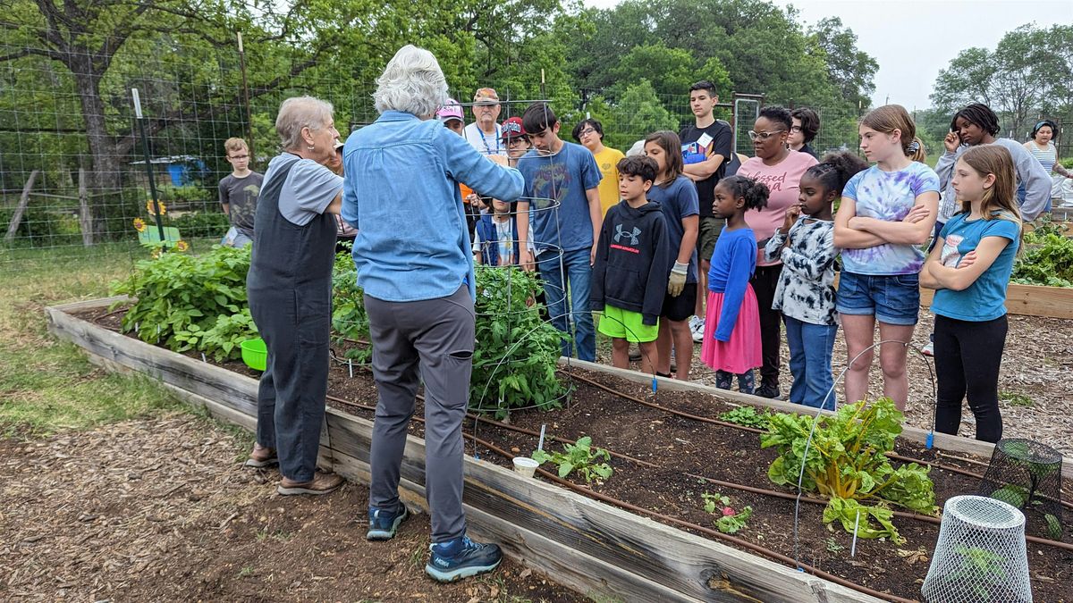 Spring Season '25 - Children's' Vegetable Garden