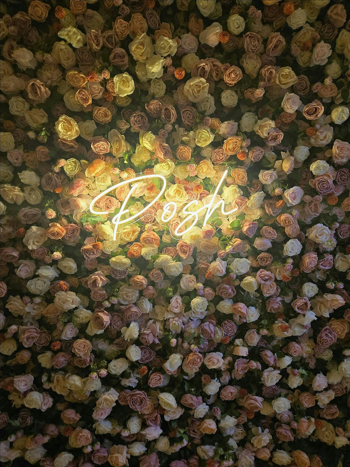 Beauty Bash at Posh Aesthetics