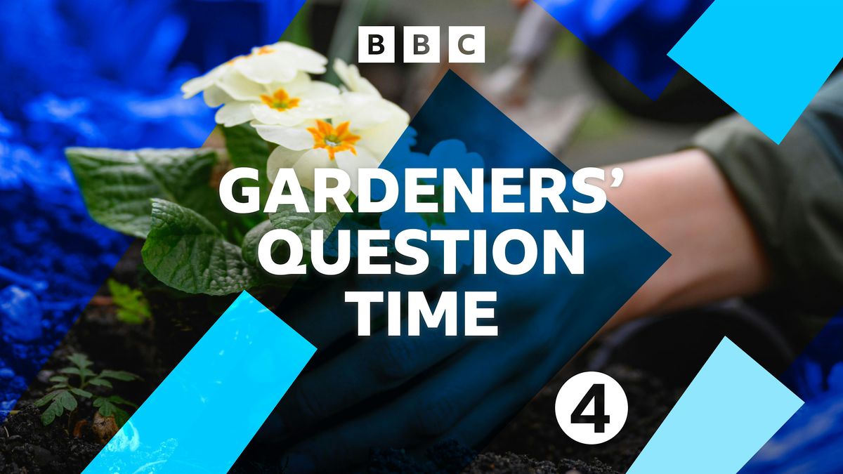 Gardeners' Question Time at St Mary's Walthamstow