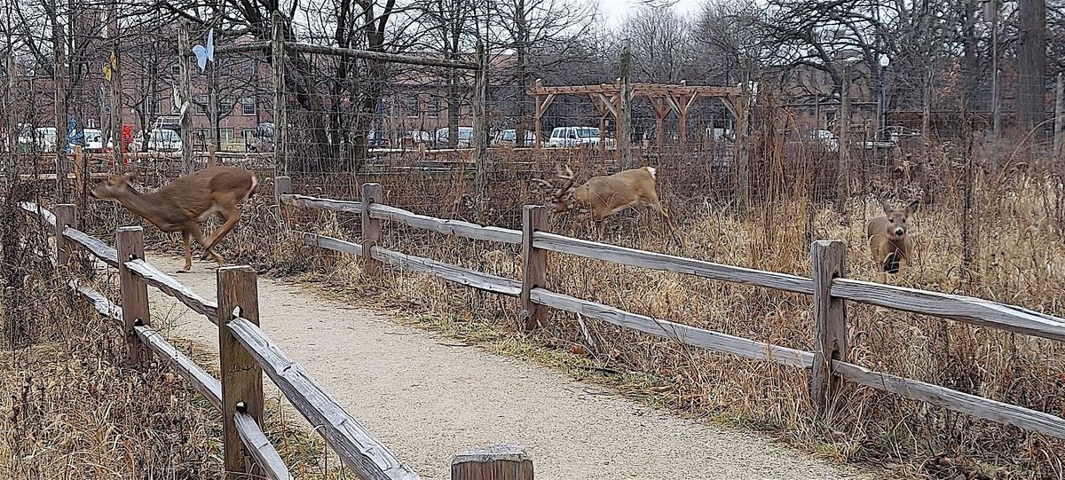 North Park Village Nature Center